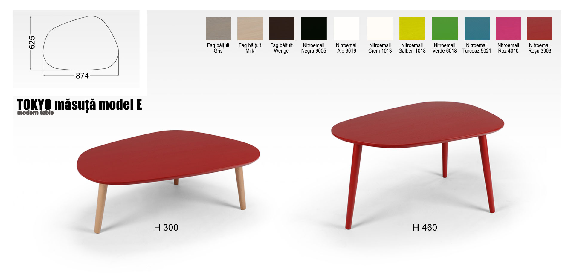 MÄƒsuÈ›Äƒ Tokyo E 46